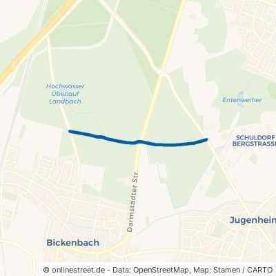 Viehtrieb Bickenbach 