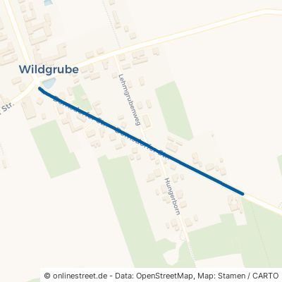 Domsdorfer Straße Uebigau-Wahrenbrück Wildgrube 