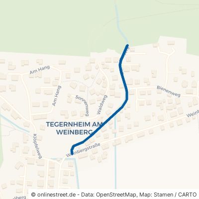 Zur Adlerseige Tegernheim 