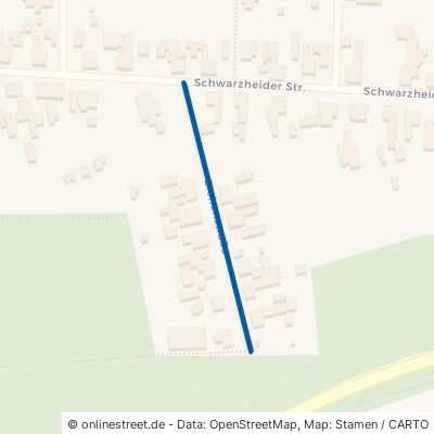 Eichenstraße Lauchhammer 