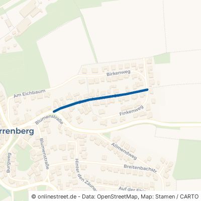 Zuzenhausener Straße Dielheim Horrenberg 