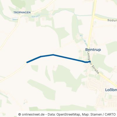 Heidener Straße Detmold Bentrup-Loßbruch 