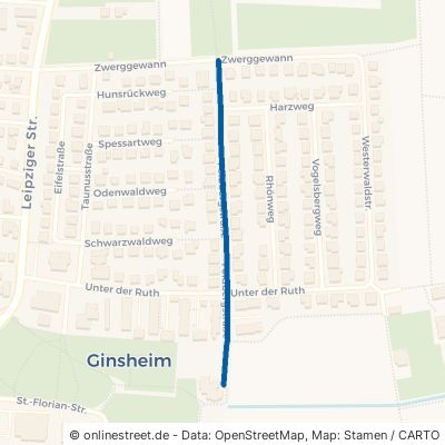 Feldbergstraße Ginsheim-Gustavsburg 