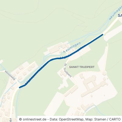 Mühlenmatten Münstertal Obermünstertal 