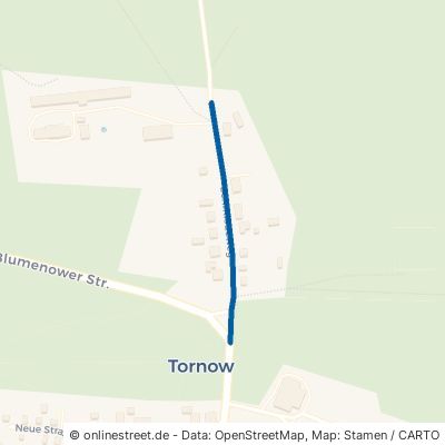 Schmiedeweg Fürstenberg (Havel) Tornow 