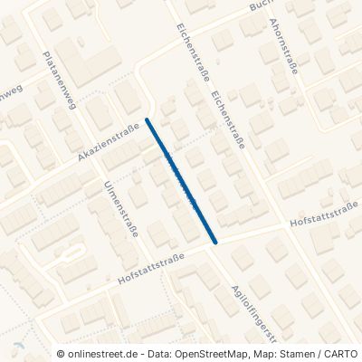 Lindenstraße 85609 Aschheim 