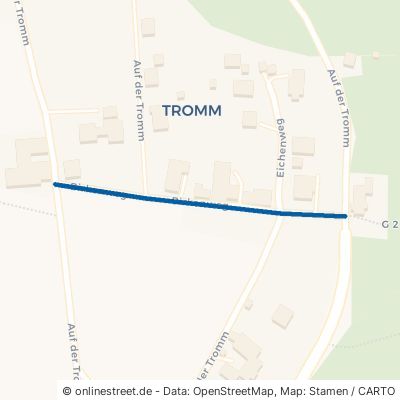 Birkenweg Grasellenbach Tromm 