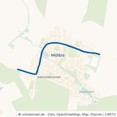 Mölbiser Hauptstraße Rötha Mölbis 