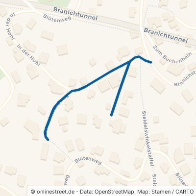 Schauinslandweg 69198 Schriesheim 