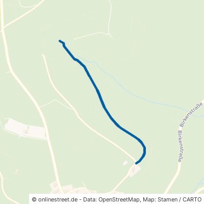 Buchmattle Weg Dachsberg 