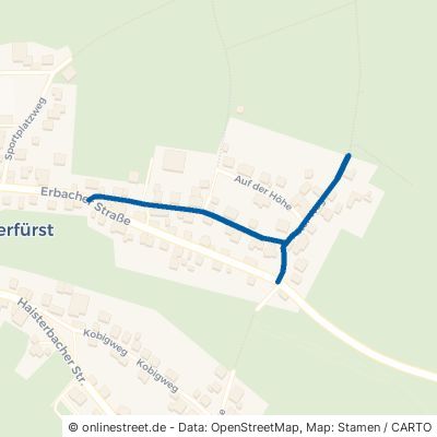 Alter Weg 64711 Erbach Günterfürst 