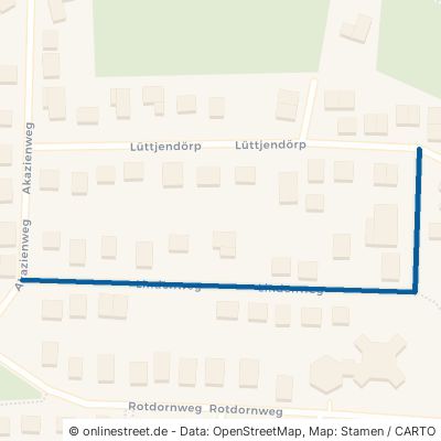 Lindenweg Langwedel Daverden 