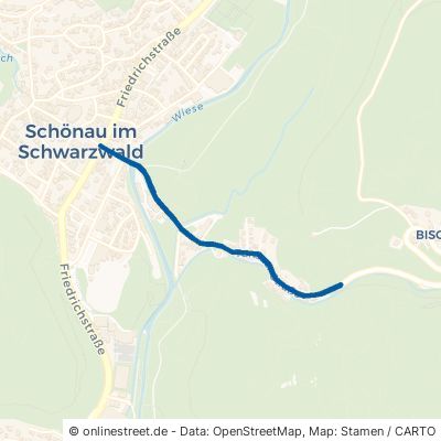 Tunauer Straße Schönau im Schwarzwald 