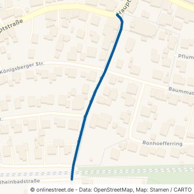 Rheinstraße 79739 Schwörstadt 