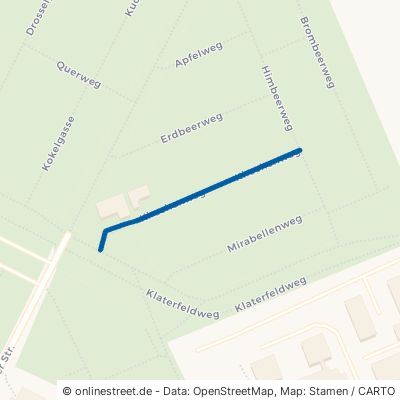 Kirschenweg Hannover Groß-Buchholz 