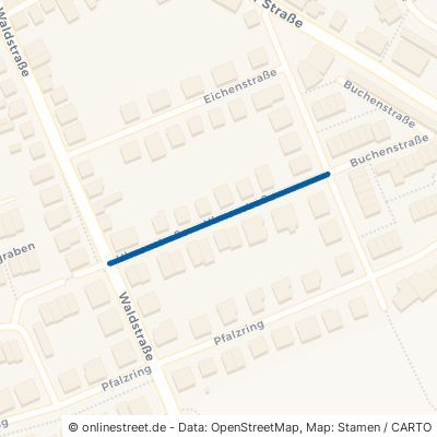 Ulmenstraße 67112 Mutterstadt 