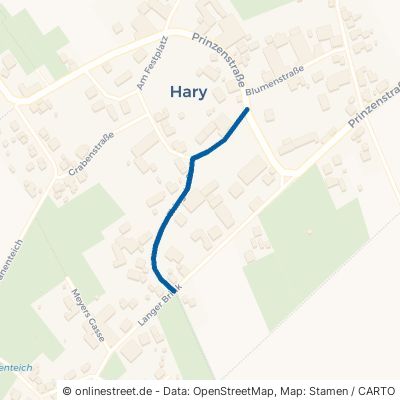 Thingstraße 31167 Bockenem Hary Hary