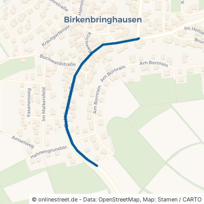 Behringerstraße Burgwald Birkenbringhausen 