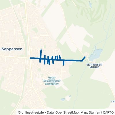 Weg Zur Mühle 21244 Buchholz in der Nordheide Holm-Seppensen 