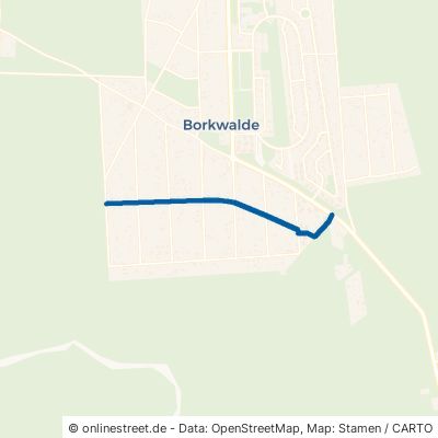 Birkenstraße Borkwalde 