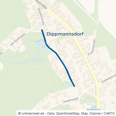 Mühlenstraße 14806 Bad Belzig Dippmannsdorf 