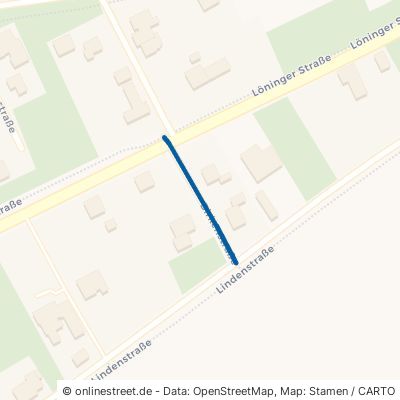 Birkenstraße Haselünne Eltern 