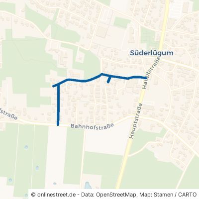 Westerstraße Amt Süderlügum 