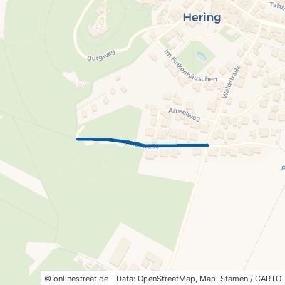 Feldstraße Otzberg Hering 