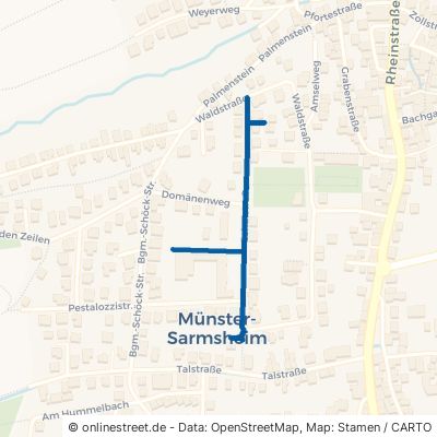 Schulstraße Münster-Sarmsheim 