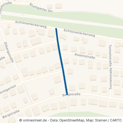 Heckenstraße 75382 Althengstett 