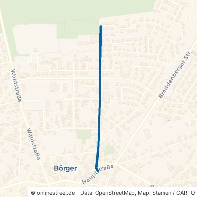 Tannenweg Börger 