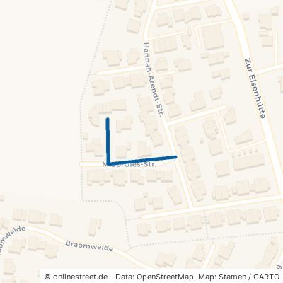 Miep-Gies-Straße 46399 Bocholt Lowick 