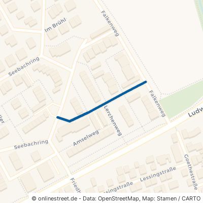 Weissenburger Straße Dannstadt-Schauernheim Dannstadt 