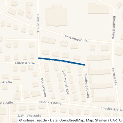 Heckwiesenstraße 72411 Bodelshausen 