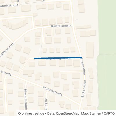 Kropsburgstraße 76877 Offenbach an der Queich 