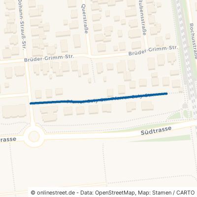 Pfarrer-Sely-Straße 63110 Rodgau Hainhausen 