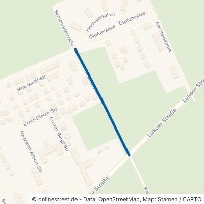 Mühlstedter Straße Dessau-Roßlau Roßlau 