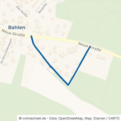 Schulweg Boizenburg Greven 