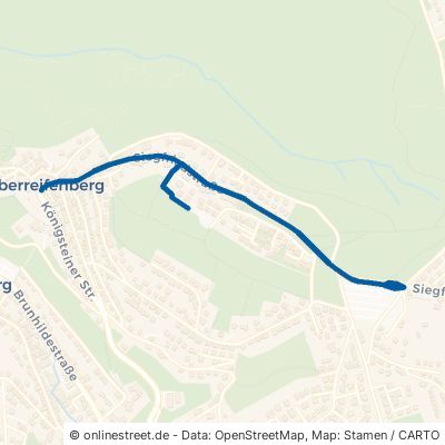 Siegfriedstraße Schmitten Oberreifenberg 