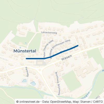 Erwin-Pfefferle-Weg Münstertal Untermünstertal 