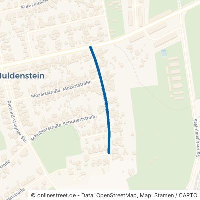 Lönsstraße 06774 Muldestausee Muldenstein 