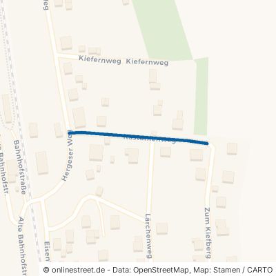 Kastanienweg Steinbach-Hallenberg Viernau 
