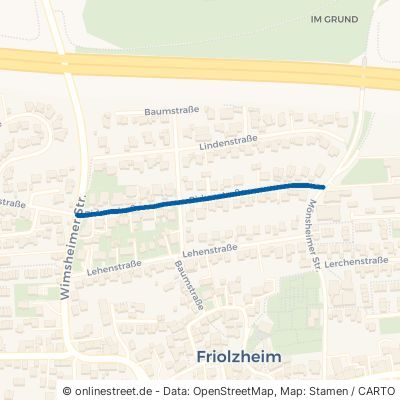 Birkenstraße Friolzheim 