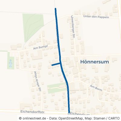 Heinrich-Aue-Straße Harsum Hönnersum 