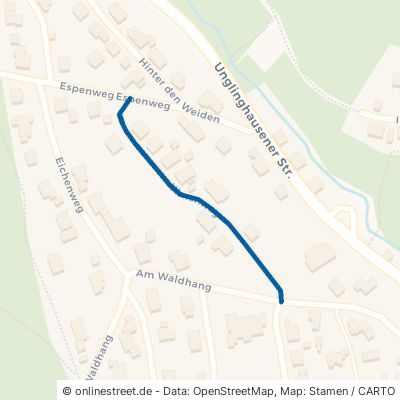 Ulmenweg Netphen Eckmannshausen 