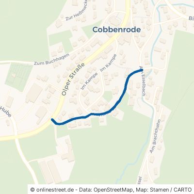 Hohle Straße Eslohe Cobbenrode 