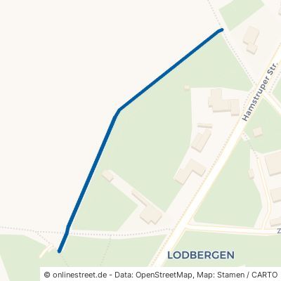 Am Langen Acker 49624 Löningen Lodbergen 