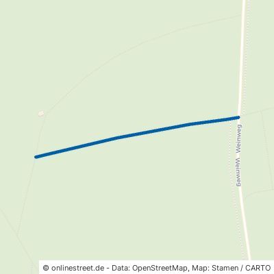 Schöner Buchwaldweg Reichartshausen 