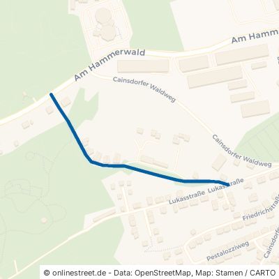 Cainsdorfer Weg Zwickau Cainsdorf 