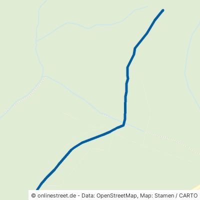 Waldweg Harz Lauterberg 